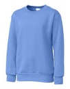 Carolina Blue