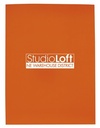 32170 orange image