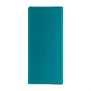 V9200 teal image