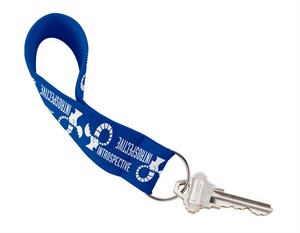 21180 blue image