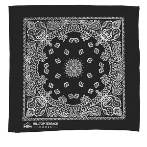 BA22P black image