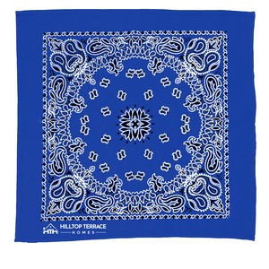 BA22P blue image
