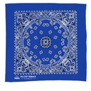 BA22P blue image