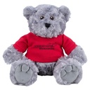 CT978 gray image