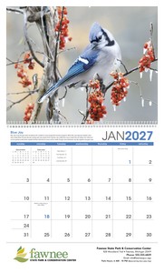 Triumph Calendars Birds Calendar open image
