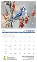 Triumph Calendars Birds Calendar open image