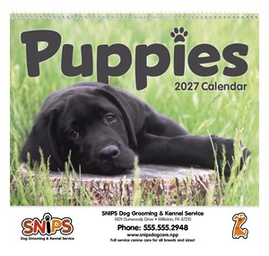 Triumph Calendars Puppies Calendar cover image