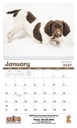 Triumph Calendars Puppies Calendar open image
