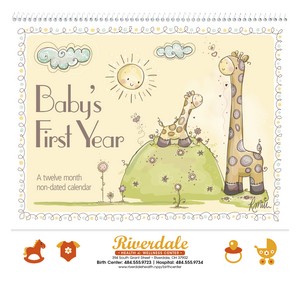 Triumph Calendars Baby's First Year by Rachelle Anne Miller cover image