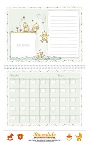 Triumph Calendars Baby's First Year by Rachelle Anne Miller open image