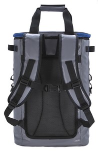 16002 gray back product image