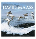 David Maass Executive Calendar 2026 Calendar