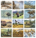 Triumph Calendars Wildlife Art Calendar month image