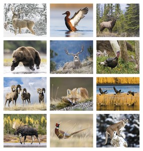 Triumph Calendars Southeast Sportsman Calendar month image