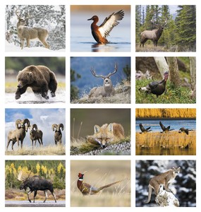 Triumph Calendars Sportsman Calendar month image