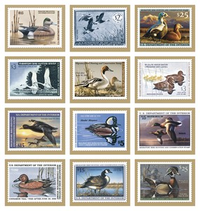 Triumph Calendars Duck Stamps Calendar month image