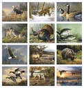 Triumph Calendars Wildlife Art by the Hautman Brothers Calendar month image
