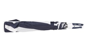 2010 navy-white closed image