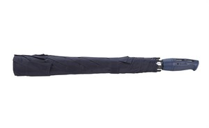 2010 navy closed image