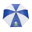 2041A royal/white image