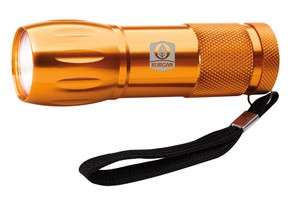 21207 orange image
