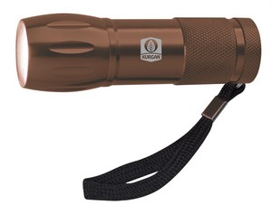 21207 bronze image