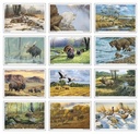 Triumph Calendars Wildlife Art Calendar month image