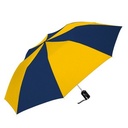 2602A Navy/Gold