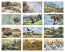 Triumph Calendars Wildlife Art Calendar month image