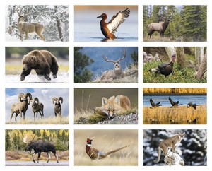 Triumph Calendars North American Wildlife Calendar month image