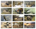 Triumph Calendars Wildlife Art by the Hautman Brothers Calendar month image