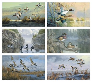 Triumph Calendars North American Waterfowl Calendar month image