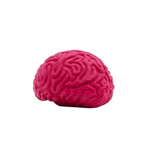 34803 brain red image
