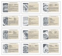 Triumph Calendars Recipe Pocket Calendar month image