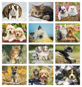 HotLine Products Four Paws Appointment Calendar - Spiral month image