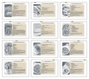 Triumph Calendars Recipe Pocket Calendar month image