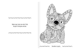 41269 open image