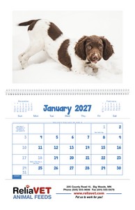 Triumph Calendars Puppies & Kittens Pocket Calendar open image