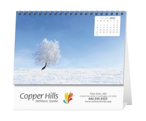 Triumph Calendars Simplicity Large Desk Calendar image