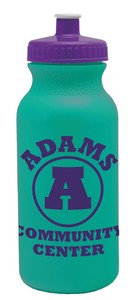 46365 teal/violet lid image