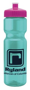46366_trans teal-pink_1c.jpg