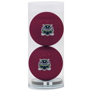 62598_two golf balls burgundy_black chip inside_fc.jpg