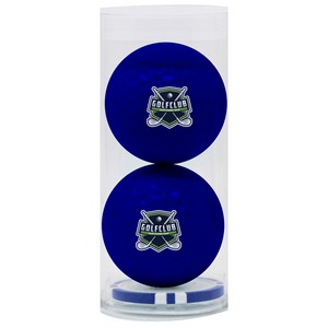 62598_two golf balls navy_blue chip inside_fc.jpg