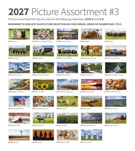 2027 Picture Assortment