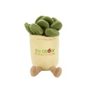 70003 succulent front image