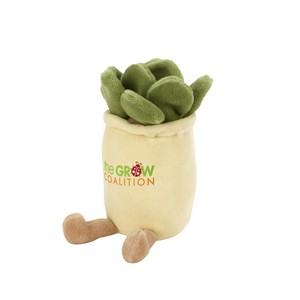 70003 succulent angled image