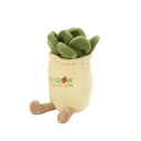 70003 succulent angled image