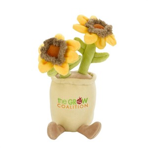 70003 sunflower front image