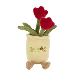 70003 tulip front image