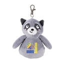 70006_racoon_front_fc.jpg